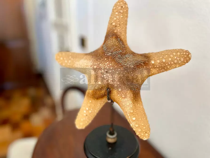 Immagine 13 di Appartamento in vendita  a Castiglione Della Pescaia