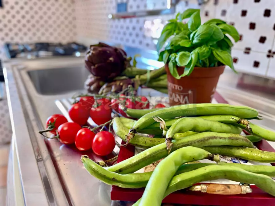 Immagine 24 di Appartamento in vendita  a Castiglione Della Pescaia