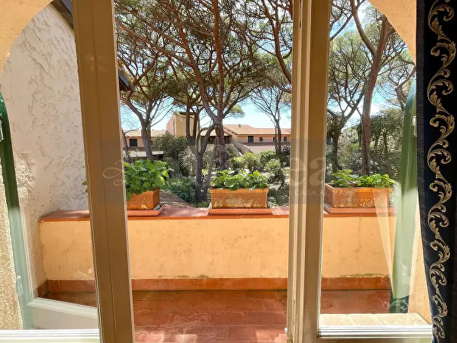 Immagine 27 di Appartamento in vendita  a Castiglione Della Pescaia