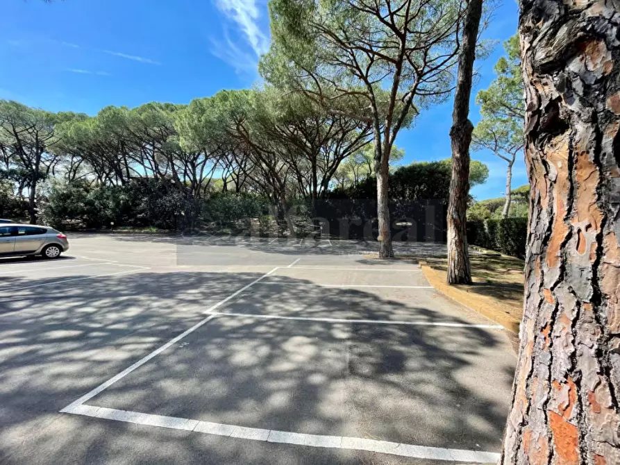 Immagine 30 di Appartamento in vendita  a Castiglione Della Pescaia