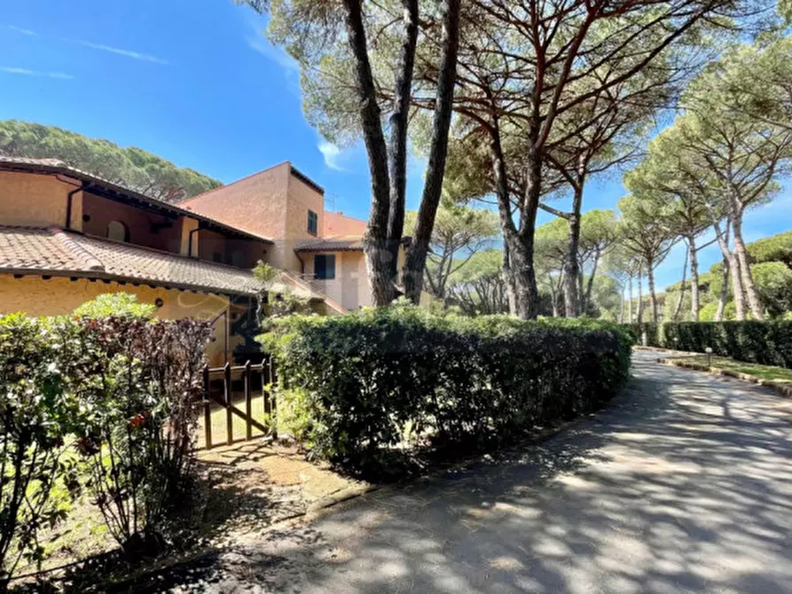 Immagine 31 di Appartamento in vendita  a Castiglione Della Pescaia