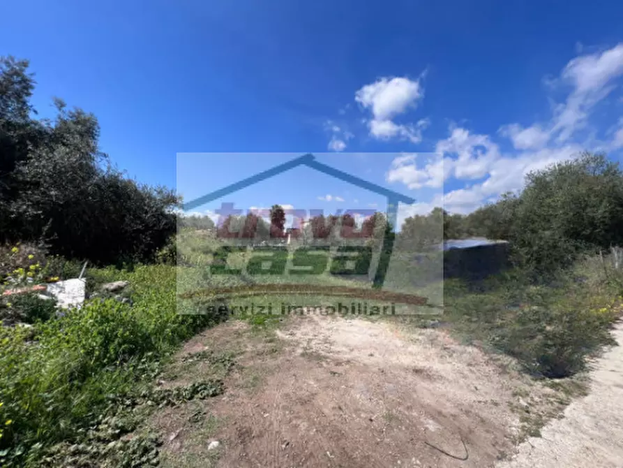 Immagine 3 di Terreno in vendita  in tremmilia a Siracusa