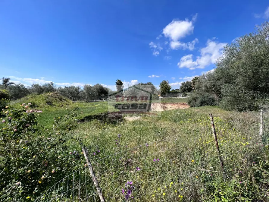 Immagine 4 di Terreno in vendita  in tremmilia a Siracusa