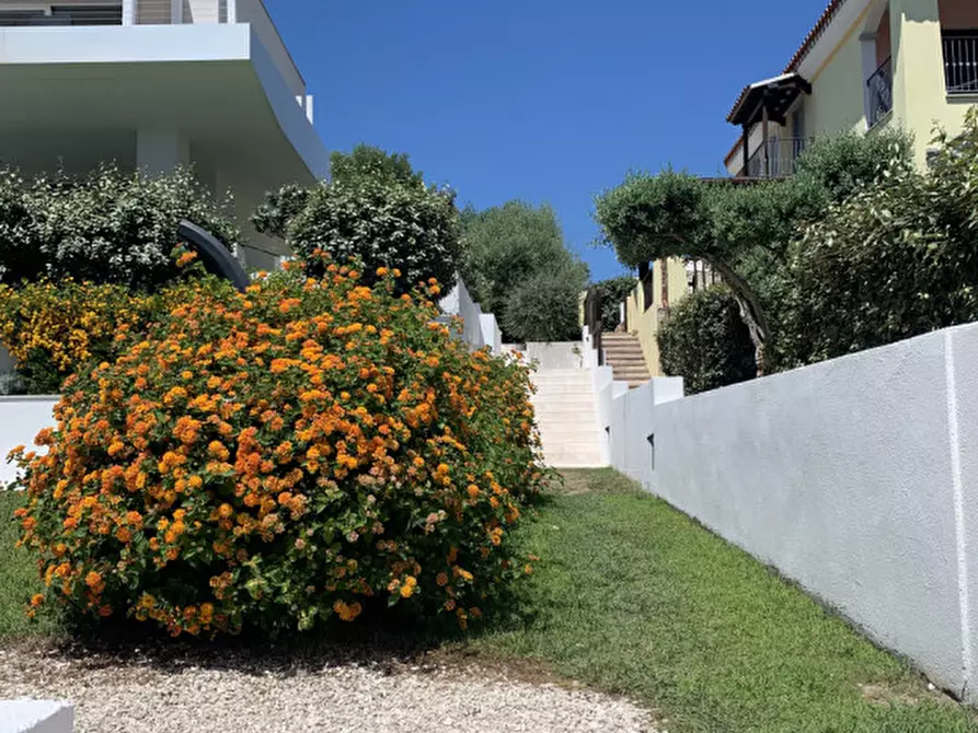 Immagine 14 di Appartamento in vendita  in via dei platani a Olbia