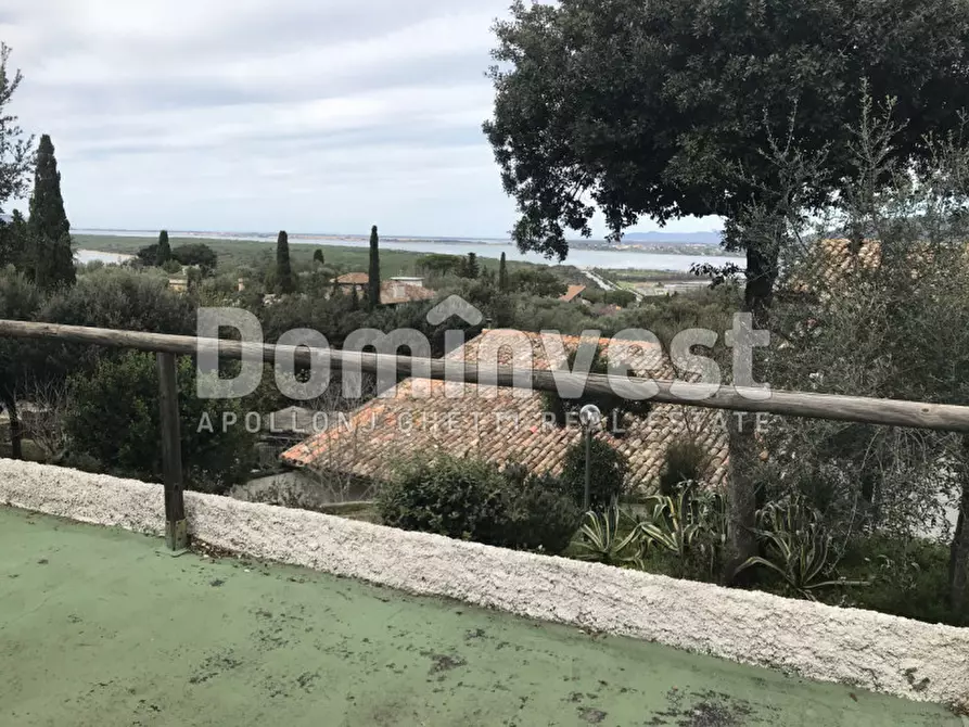 Immagine 1 di Villa in affitto  in via torre san biagio a Orbetello