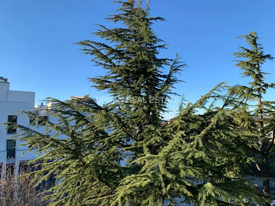 Immagine 32 di Appartamento in affitto  in Via del Biancospino 30/8 a Trieste