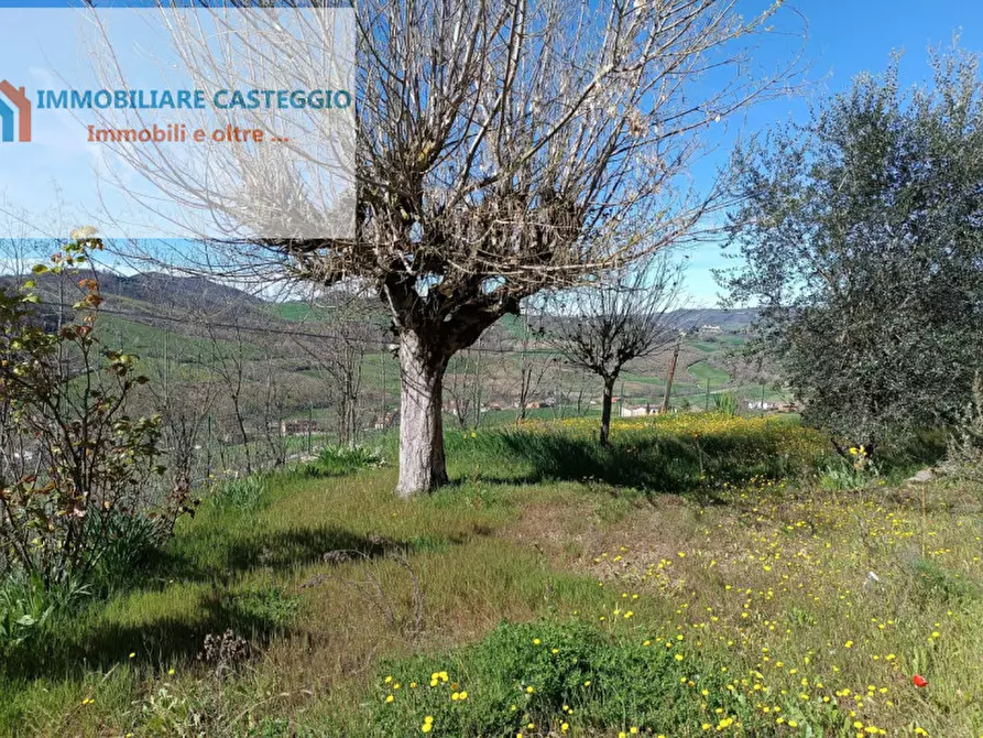 Immagine 22 di Casa indipendente in vendita  in Sant' Eusebio a Fortunago