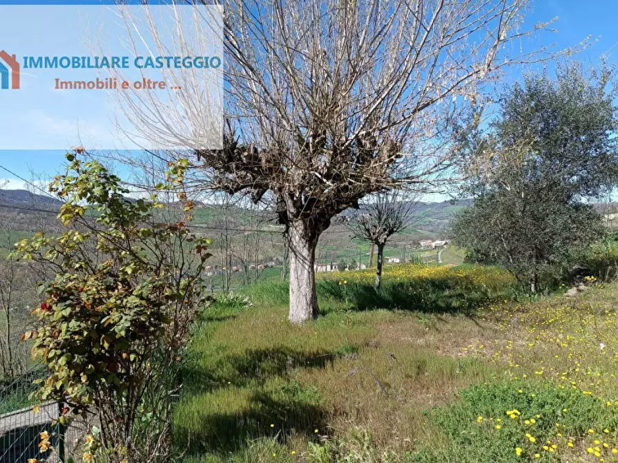 Immagine 26 di Casa indipendente in vendita  in Sant' Eusebio a Fortunago
