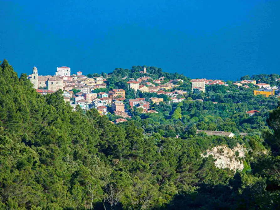 Immagine 2 di Villa in vendita  in Massignano a Ancona