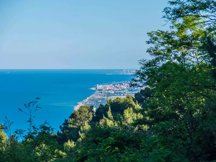 Immagine 3 di Villa in vendita  in Massignano a Ancona