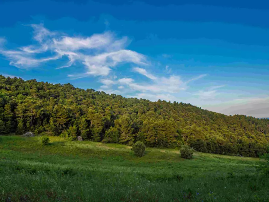 Immagine 6 di Villa in vendita  in Massignano a Ancona