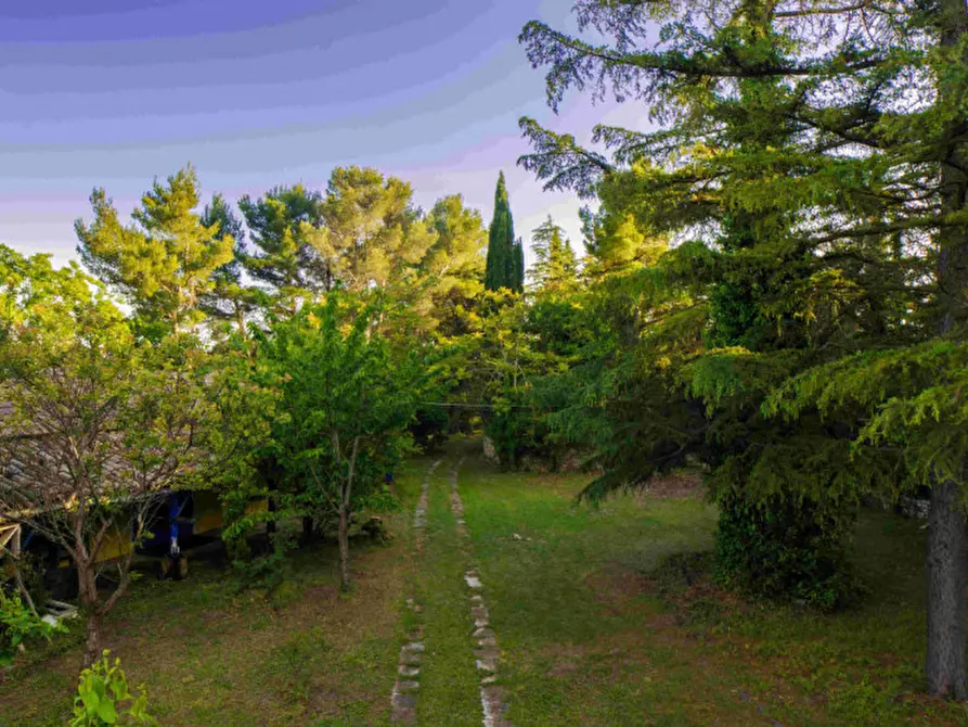 Immagine 7 di Villa in vendita  in Massignano a Ancona