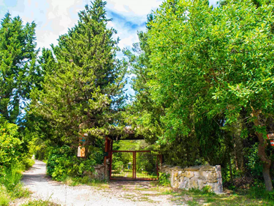 Immagine 8 di Villa in vendita  in Massignano a Ancona