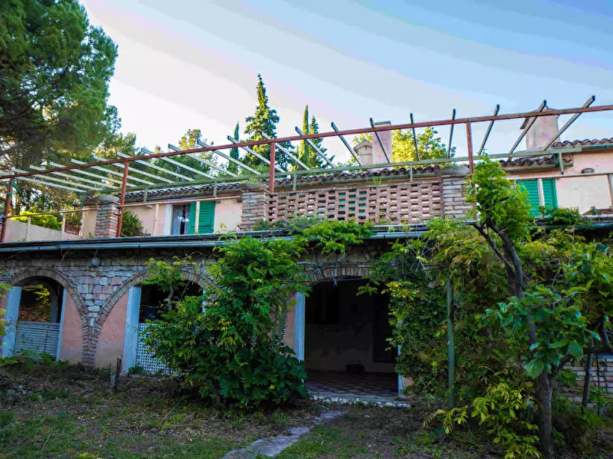 Immagine 9 di Villa in vendita  in Massignano a Ancona