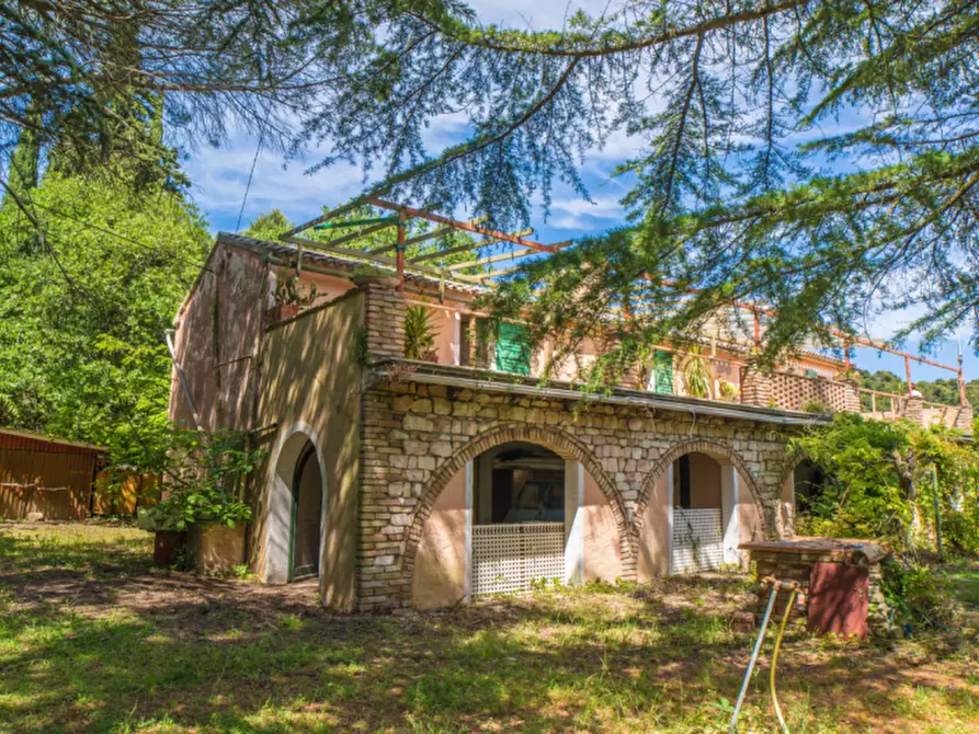 Immagine 10 di Villa in vendita  in Massignano a Ancona