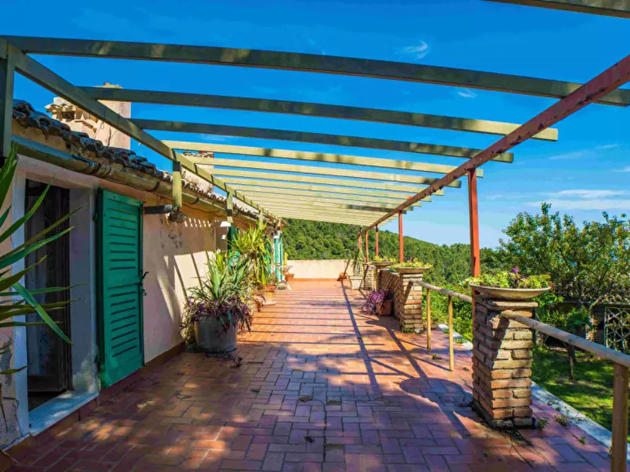 Immagine 26 di Villa in vendita  in Massignano a Ancona