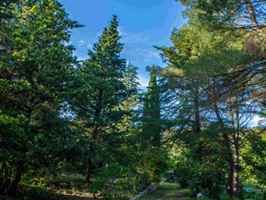 Immagine 28 di Villa in vendita  in Massignano a Ancona