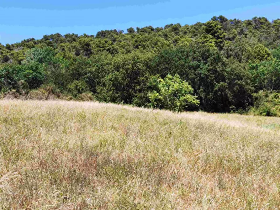 Immagine 57 di Villa in vendita  in Massignano a Ancona