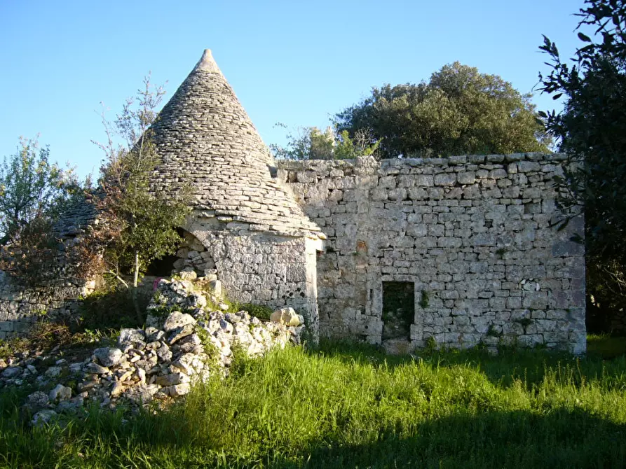 Immagine 1 di Rustico / casale in vendita  in MASONEX a Martina Franca