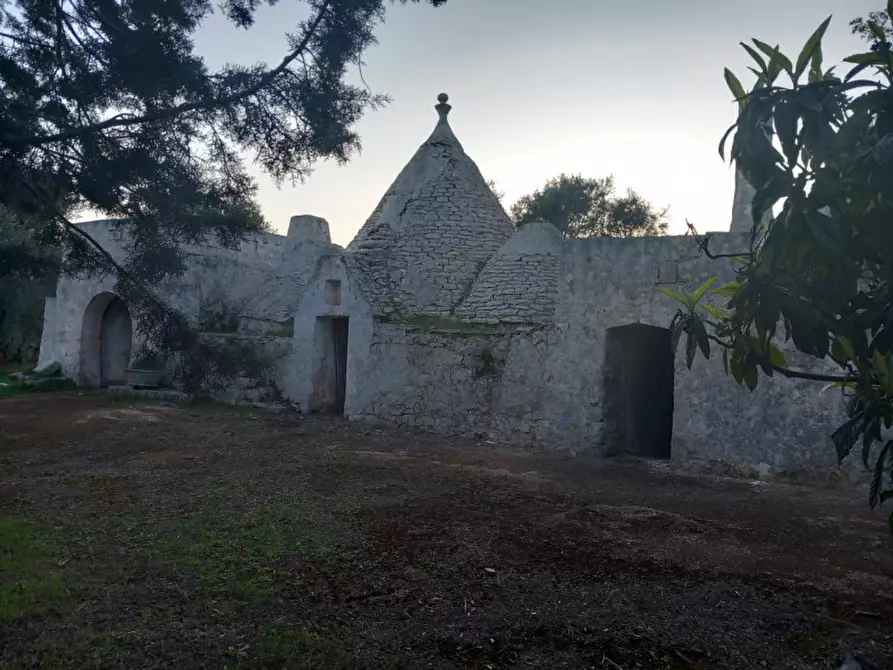 Immagine 20 di Rustico / casale in vendita  in C.da Palmo a Francavilla Fontana
