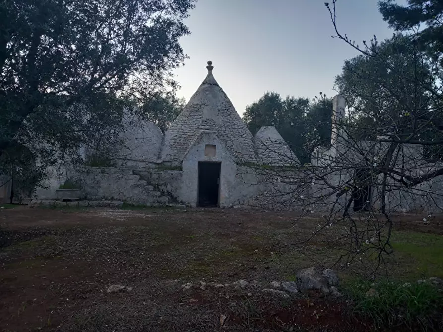 Immagine 24 di Rustico / casale in vendita  in C.da Palmo a Francavilla Fontana