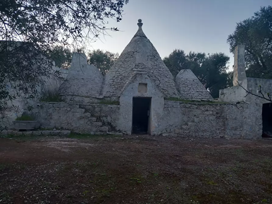 Immagine 25 di Rustico / casale in vendita  in C.da Palmo a Francavilla Fontana
