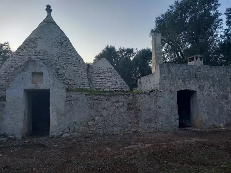 Immagine 27 di Rustico / casale in vendita  in C.da Palmo a Francavilla Fontana