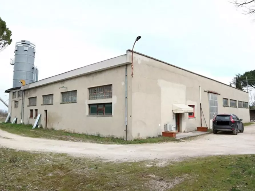 Immagine 1 di Capannone industriale in vendita  in Strada Regionale, N. 316 a Bevagna