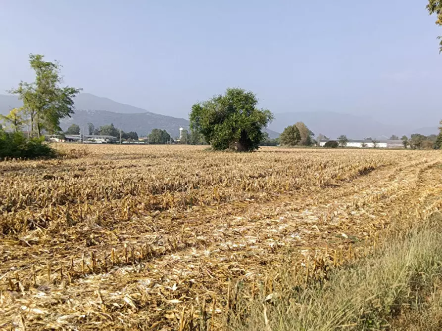 Immagine 6 di Terreno in vendita  in Via Tito Speri a Prevalle