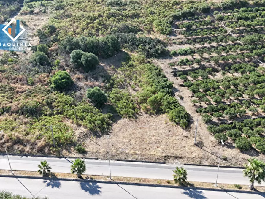 Immagine 9 di Terreno in vendita  in viale Resistenza Partigiana snc a Palagonia
