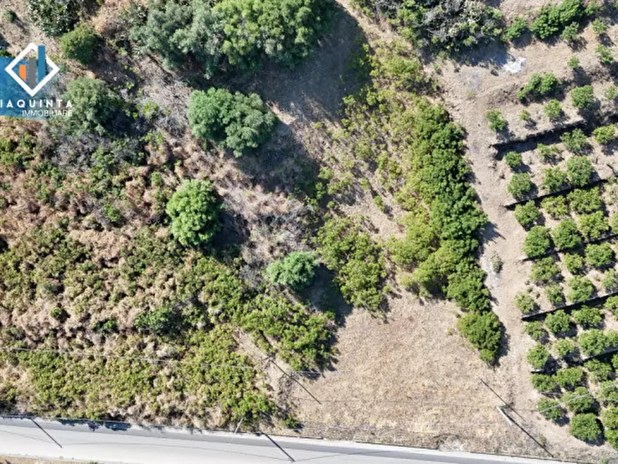 Immagine 10 di Terreno in vendita  in viale Resistenza Partigiana snc a Palagonia