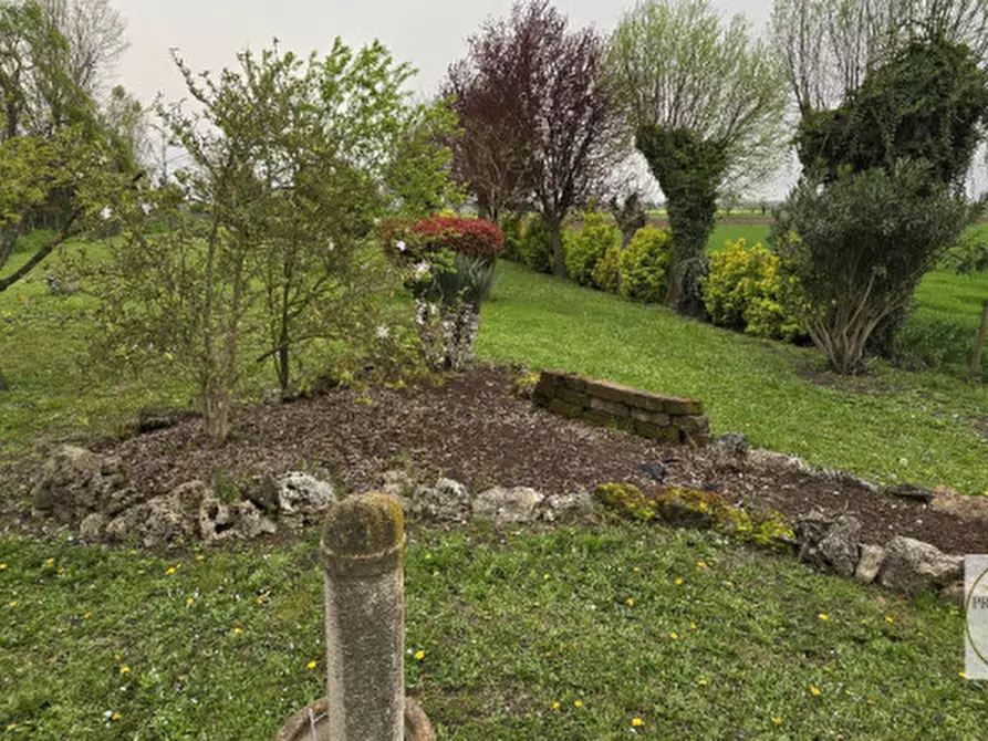 Immagine 71 di Casa indipendente in vendita  a Villa Estense