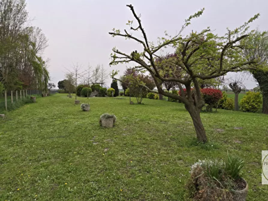 Immagine 72 di Casa indipendente in vendita  a Villa Estense
