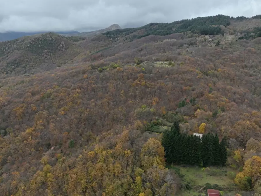 Immagine 3 di Appartamento in vendita  in Via G. D'annunzio, N. 21 a Civitanova Marche