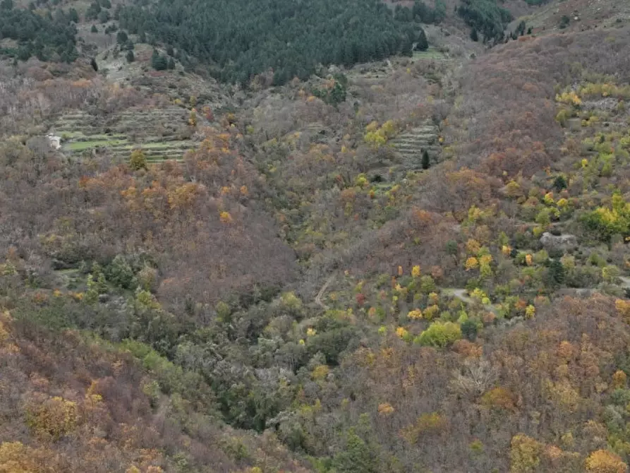 Immagine 5 di Appartamento in vendita  in Via G. D'annunzio, N. 21 a Civitanova Marche