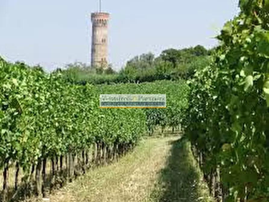 Immagine 3 di Villetta a schiera in vendita  in via capoborgo a Pozzolengo