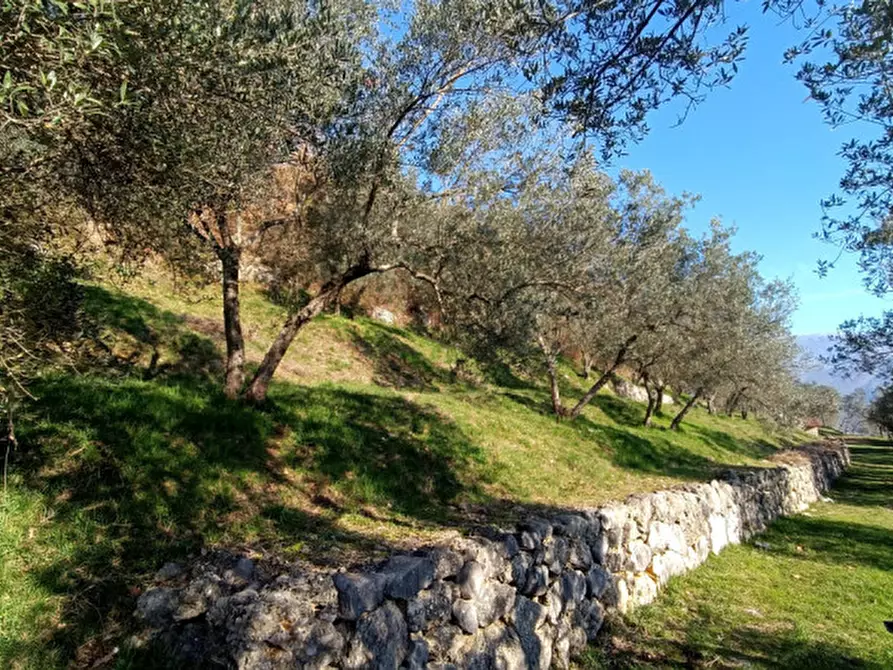 Immagine 2 di Terreno in vendita  in Via Colle Mastroianni località Solagna a Fontechiari