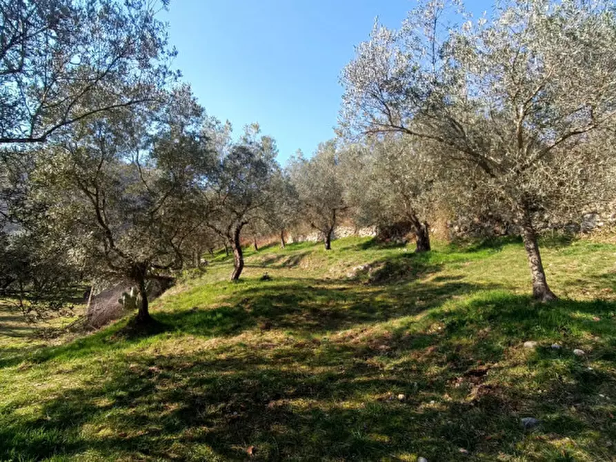 Immagine 6 di Terreno in vendita  in Via Colle Mastroianni località Solagna a Fontechiari