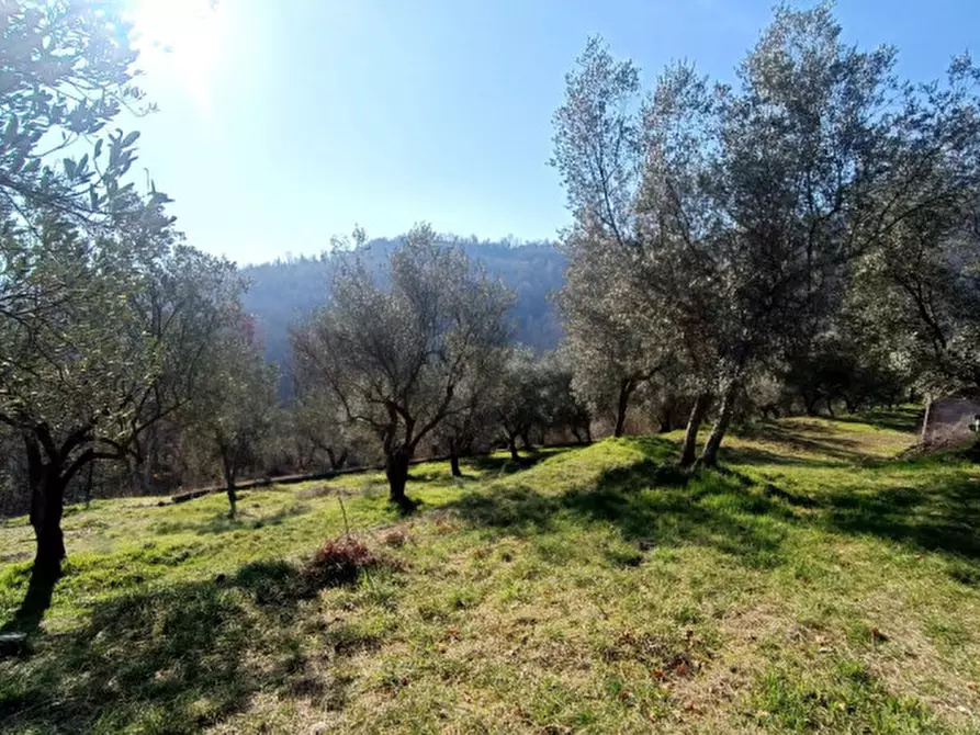 Immagine 7 di Terreno in vendita  in Via Colle Mastroianni località Solagna a Fontechiari