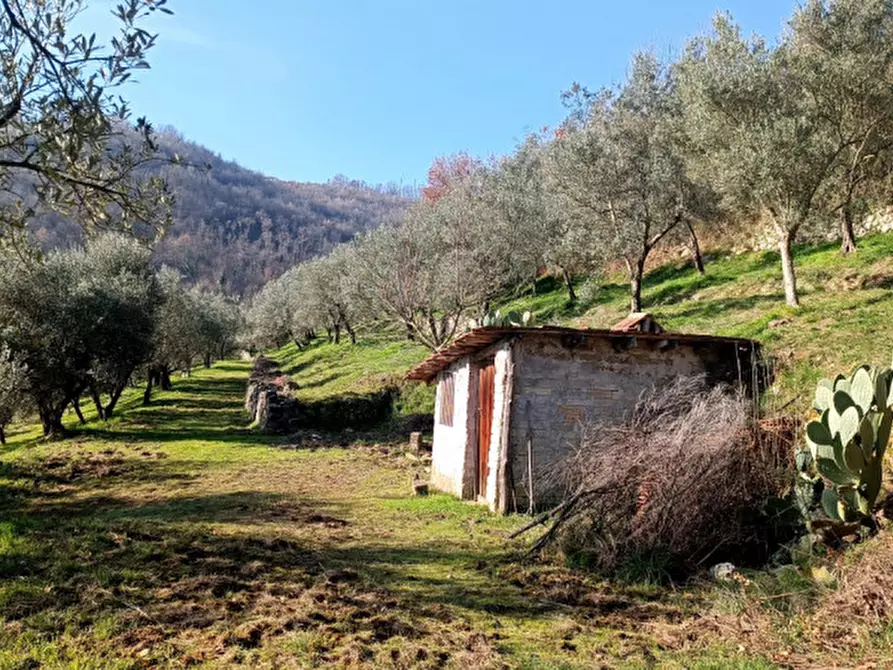 Immagine 8 di Terreno in vendita  in Via Colle Mastroianni località Solagna a Fontechiari