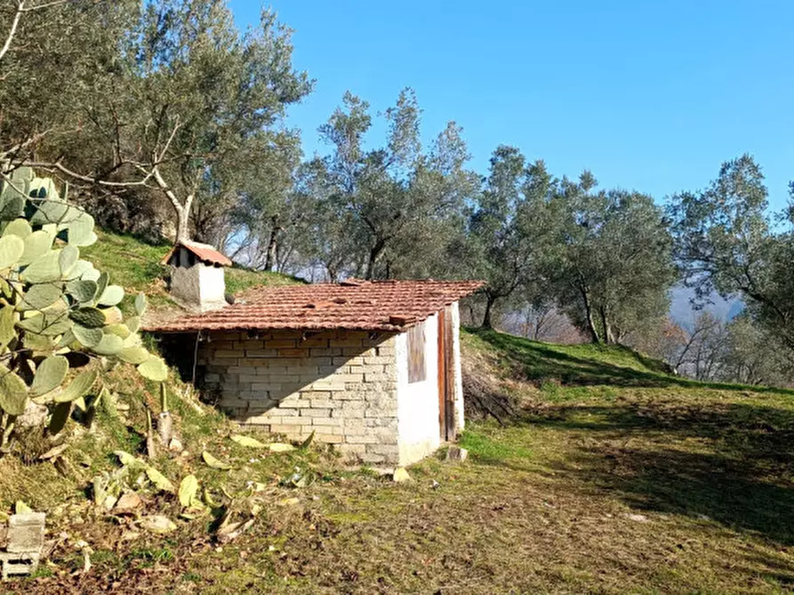 Immagine 9 di Terreno in vendita  in Via Colle Mastroianni località Solagna a Fontechiari