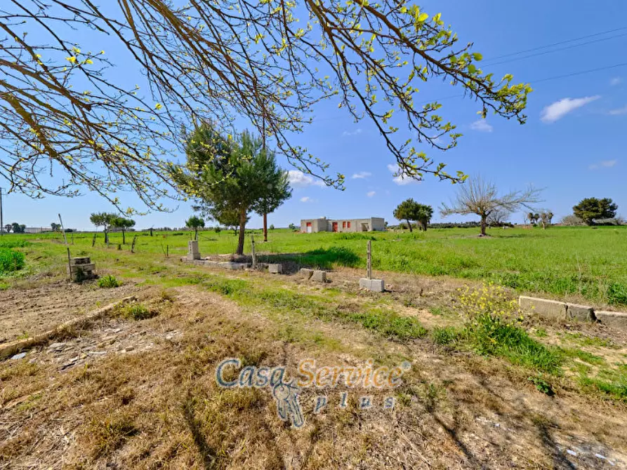 Immagine 2 di Terreno in vendita  in Via Felline a Racale