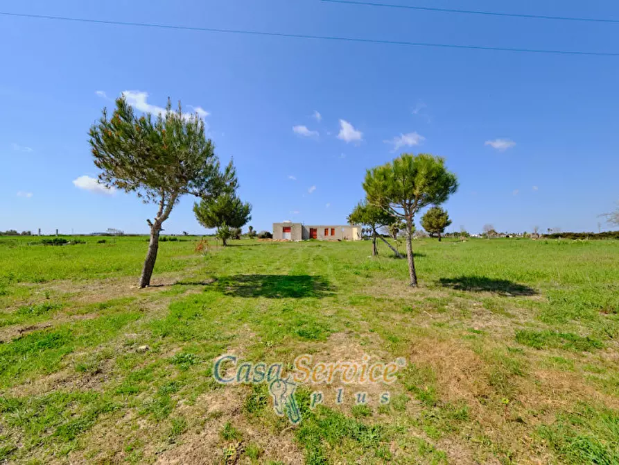 Immagine 3 di Terreno in vendita  in Via Felline a Racale