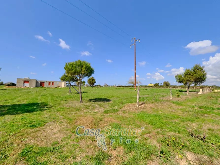 Immagine 4 di Terreno in vendita  in Via Felline a Racale