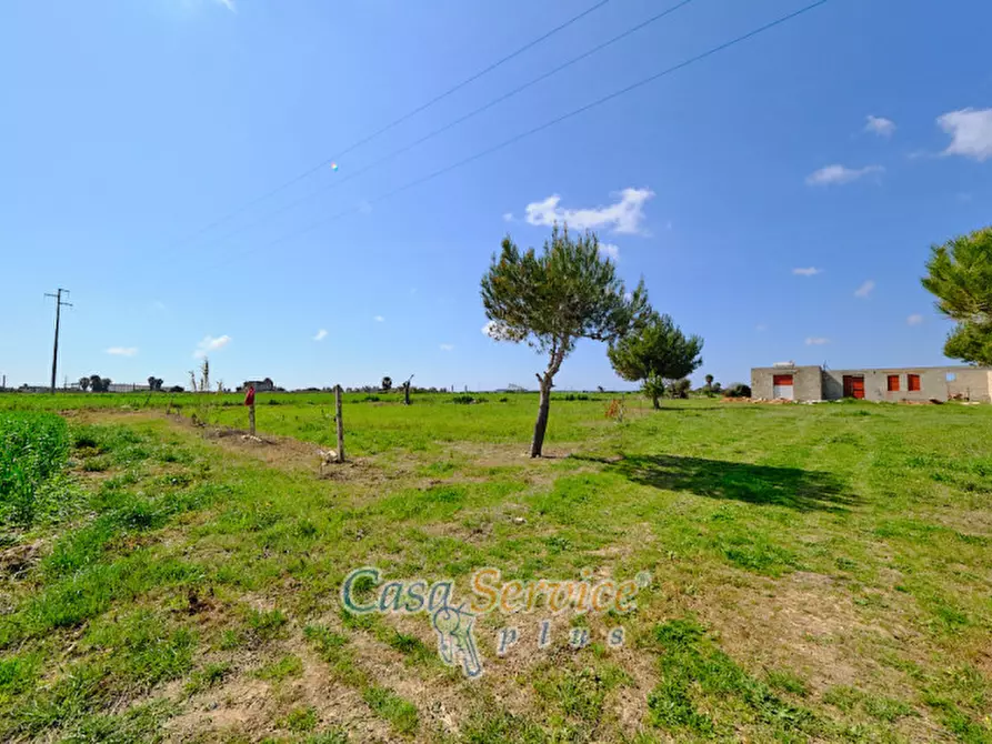 Immagine 5 di Terreno in vendita  in Via Felline a Racale