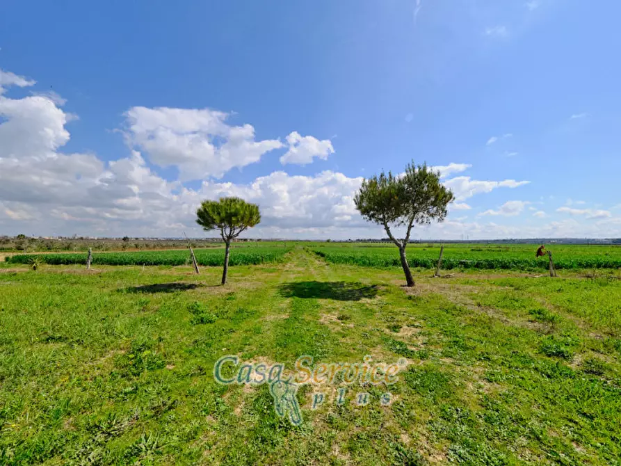 Immagine 12 di Terreno in vendita  in Via Felline a Racale