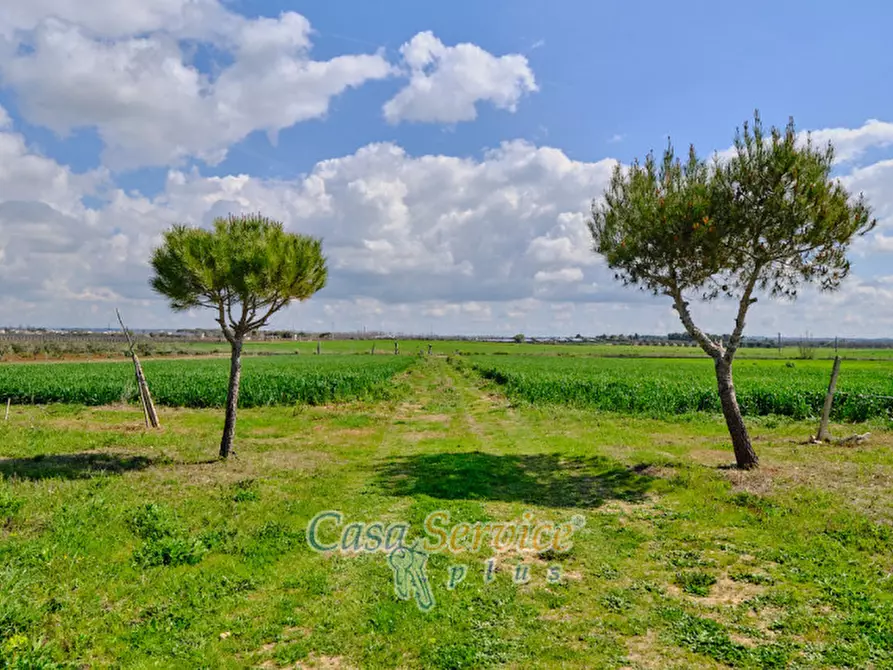 Immagine 13 di Terreno in vendita  in Via Felline a Racale