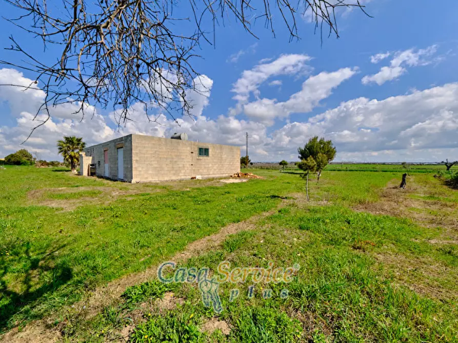 Immagine 17 di Terreno in vendita  in Via Felline a Racale