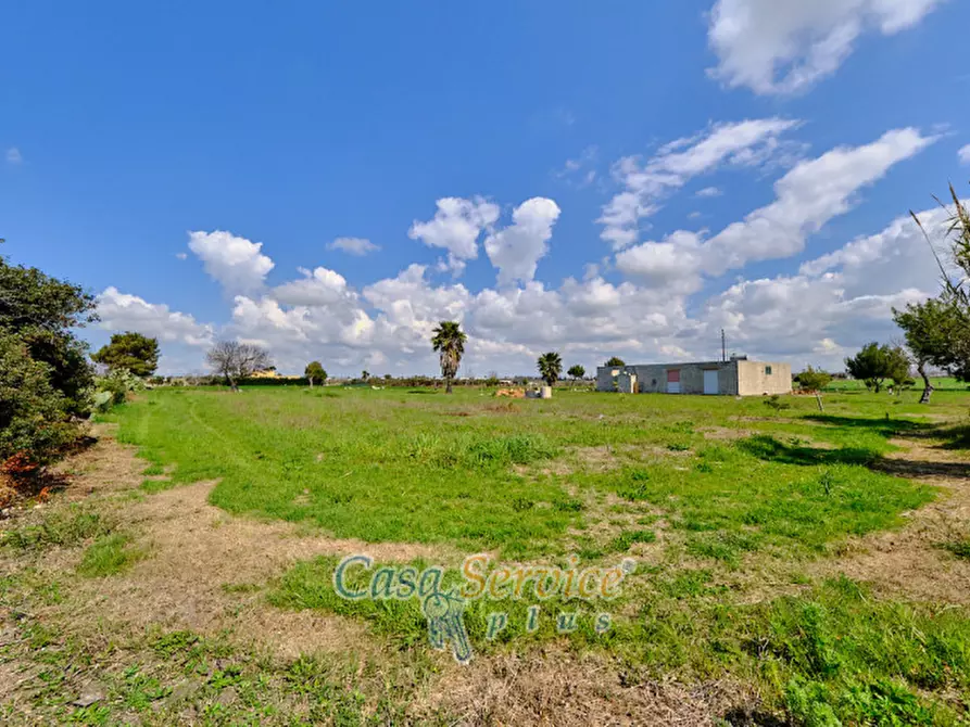 Immagine 18 di Terreno in vendita  in Via Felline a Racale