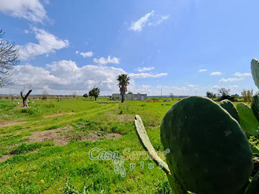Immagine 19 di Terreno in vendita  in Via Felline a Racale